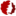 faviconN